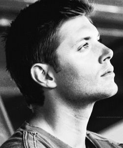 brokensilence137:  Jensen, be prettier. Go