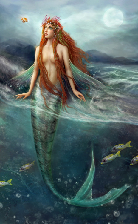 valevalen: Mermaid of the Coral Sea by Shadowbrooke