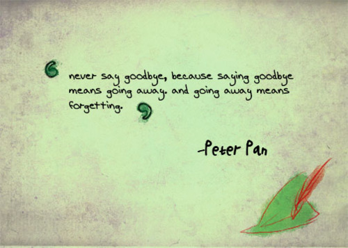 Never say goodbye, goodbye means I'll never see you again say see you later  instead because in every possible sinario see you later always applys, Quote by Kai Storm