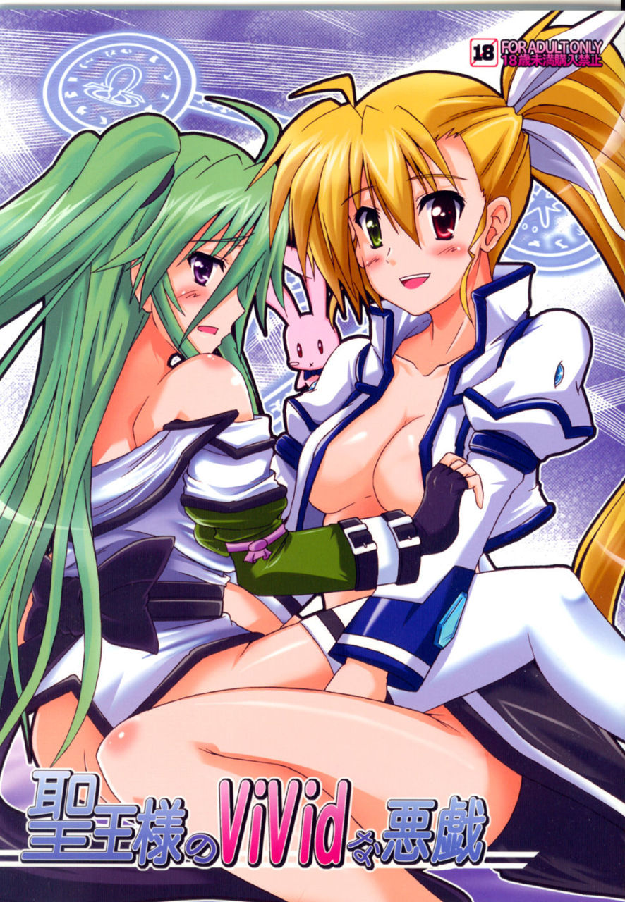 Seiou-sama no ViVid na Itazura by Negative from the Beginning Magical Girl Nanoha