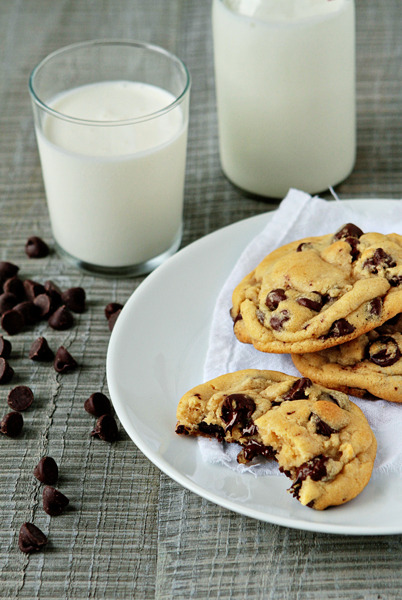 gastrogirl:  that ‘new york times’ chocolate chip cookie. 