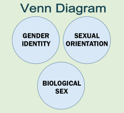 This is actually missing an aspect. There should be a fourth circle containing the words &lsquo;Social-Gender Role&rsquo;. Together with the three aspects picture above, these four aspects constitute 'Human Sexuality&rsquo;. 