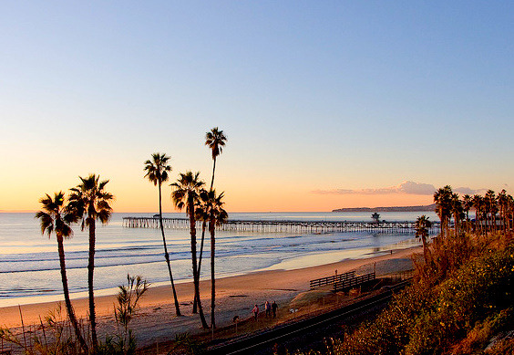 Wander Bliss