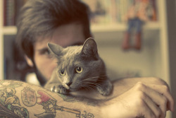 beardsandtats:  Wait… kitties too?! Possibly