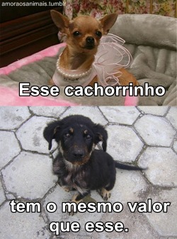     E tem gente que não percebe isso.  Eu gostei do de baixo, ele é fofinho!! u.u  