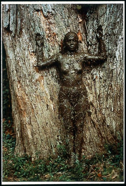 Ana Mendieta, Untitled Work from the Tree of Life Series, 1976  often lumped in with the earthworks 