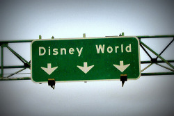 disneyfansonly:  Do you love Disney? This blog is everything Disney! 