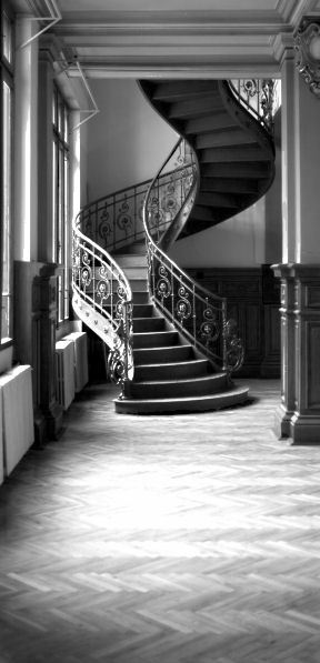 thetaureansrose:  That is a gorgeous staircase. 