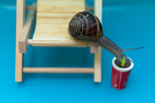 sixohthree:  There’s nothing like a fresh, tasty, cooling drink (by G!L)  me