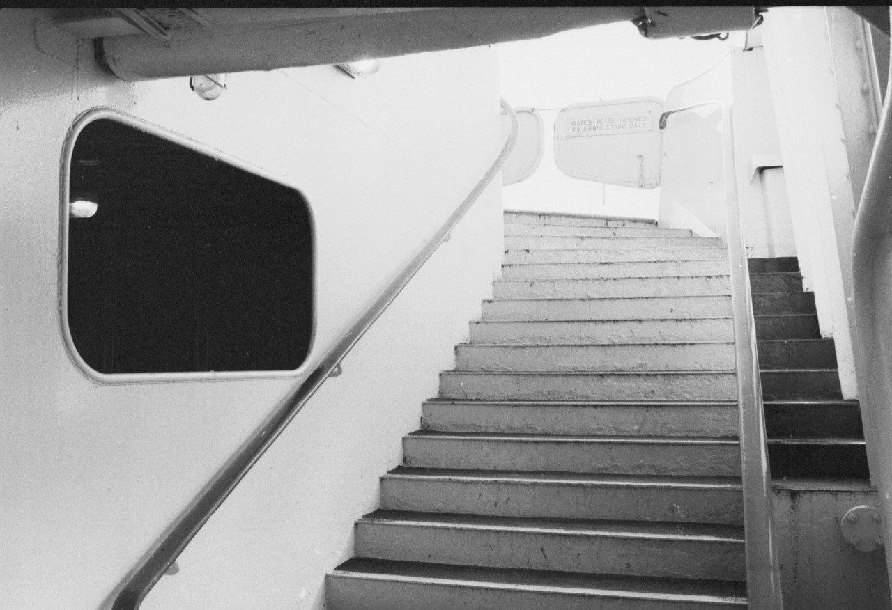 Boat Steps