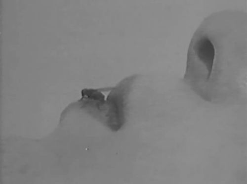 la petite mort