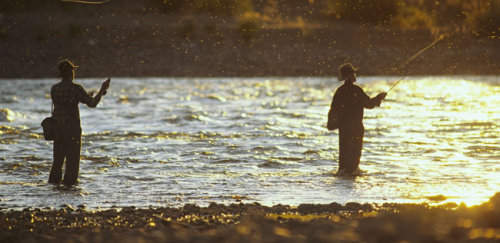 reelinginparadise-blog-blog