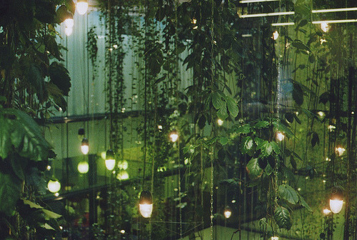 moon-sylph:  ☽ ⁎ ˚ * ☀ Mystique, autumn, nature ✵ ⁎ * ☾ 