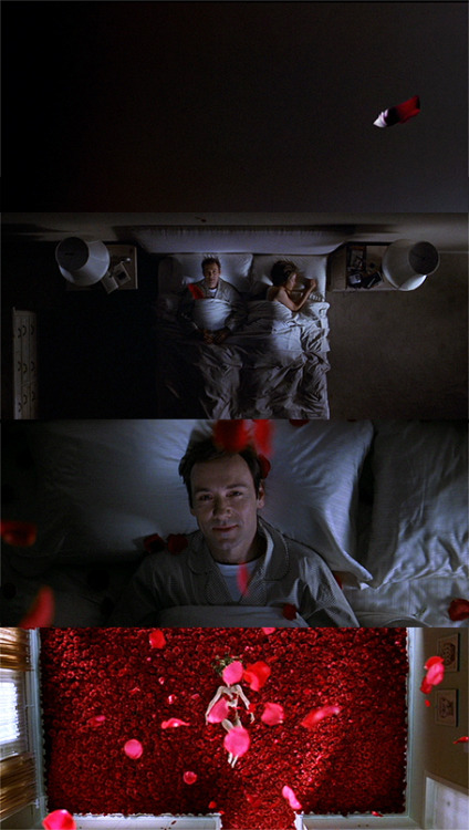 American Beauty, 1999.