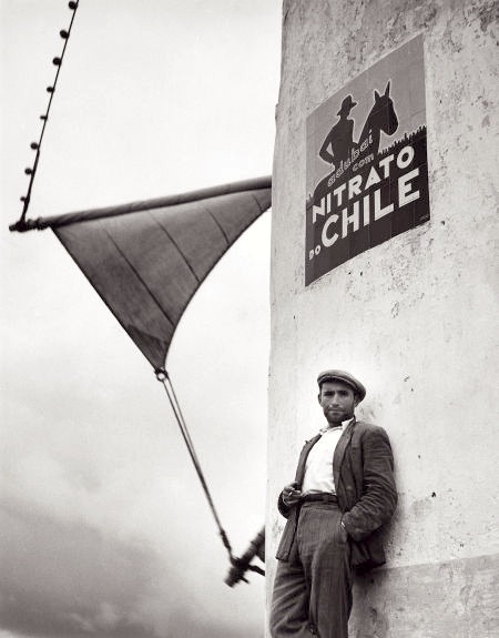 Bill Perlmutter
Nitrato do Chile, Portugal, 1957