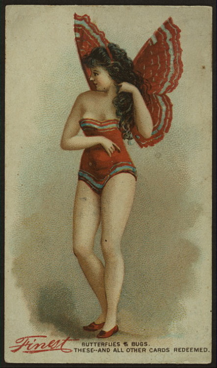 collectorsweekly: Butterflies &amp; Bugs cigarette card, circa late 19th century.