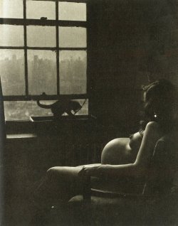 sblzk:  by Philippe Halsman, Pregnant Woman &amp; Cat, 1950 