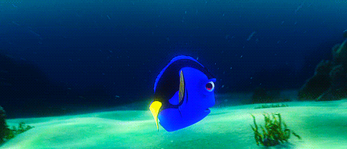 sorriaedisfarce:  Dory: Por favor, não vá embora. Ninguém nunca ficou comigo por muito  tempo antes. Eu só me lembro de coisas boas que aconteceram conosco.  Quando eu olho para você eu estou em casa, eu me sinto em casa. Por  favor, eu não quero