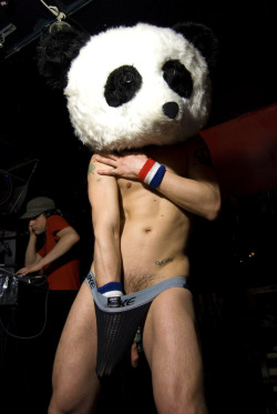 Panda a go-go&hellip;..