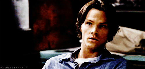 jared-padamoosey:  kyuubified:  crowstiel:   #taming the wild moose #taming the