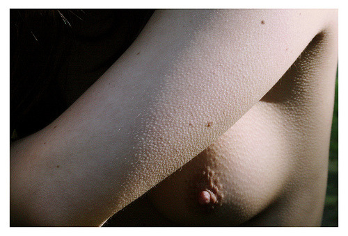 Porn Pics left breast