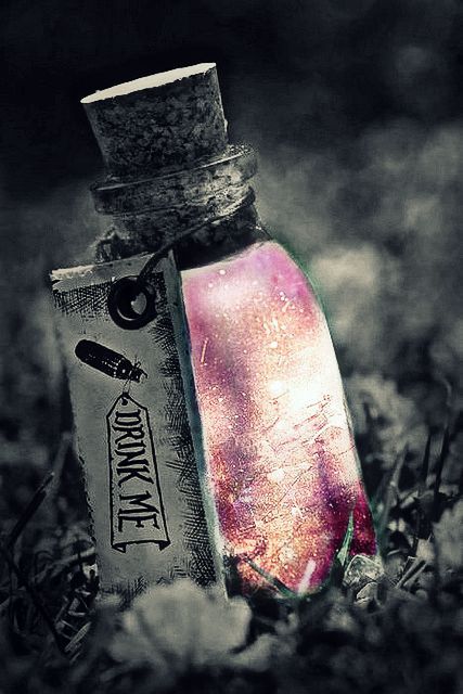 Once You Live, You Never Die
