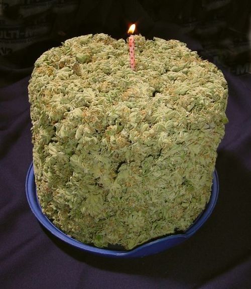 avirginsparadise:  O.O  Weed cake! porn pictures