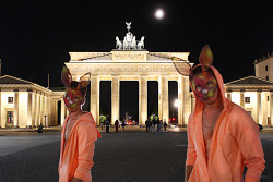 Brandenburg Bunnies - Berlin, Germany - Alexander