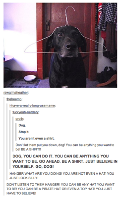 theindiekids:   this is why I love tumblr.  on any other website, this would be classed as cruelty to animals. 