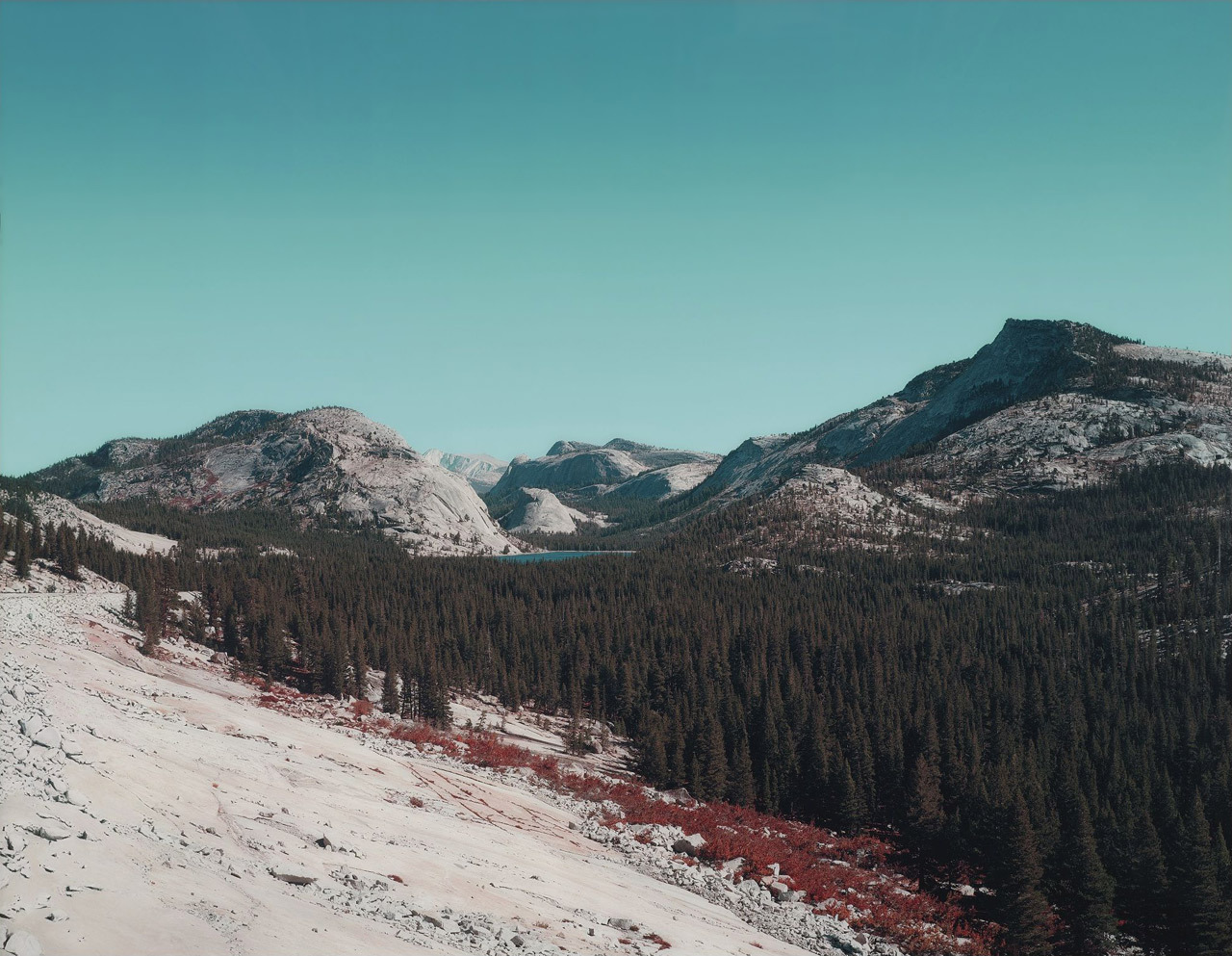 Tenaya Lake photo by Florian Maier-Aichen, 2004