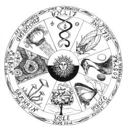 iheartpaganism:  Southern Hemisphere Wheel