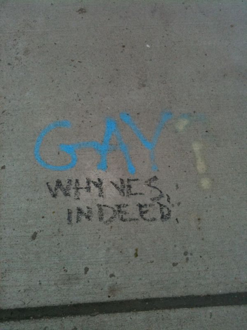 lgbtlaughs:Gay? Why yes, indeed.street graffiti in Boston, MA(Submitted by aluneedizlove)
