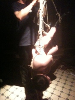 slaveali:  Last one, me being suspended.