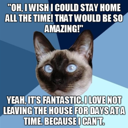 chronicillnesscat:  [Image: 6-piece blue colored background with a Siamese cat with blue eyes. Text reads: ““Oh,  I wish I could stay home all the time! That would be so amazing!” Yeah,  it’s fantastic. I love not leaving the house for days at