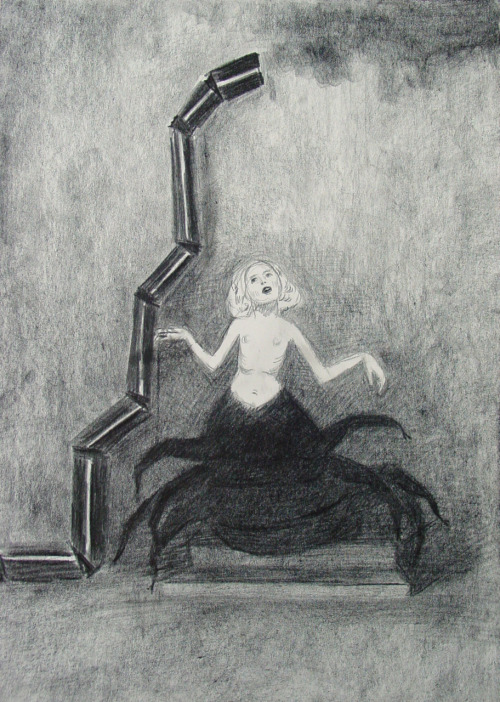 kirgiakos: Aleksandra Waliszewska, “Komin [Chimney]’’, 2011.  Pencil and char