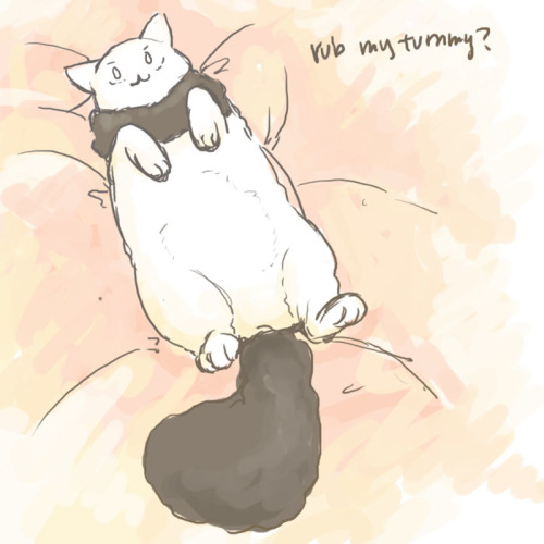 accioharo:palalife:Not really in the mood for drawing, so have an Americat and his tummy.YES. I WANT