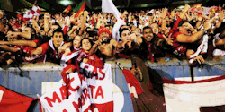  Eu não preciso me humilhar para ter fama. Eu não preciso me rebaixar ao meu rival e ser torcedor desde criancinha no estádio, contra seu rival. Eu não preciso abrir a boca e dizer: Já caí duas vezes pra SEGUNDONA. EU NÃO PRECISO DISSO. Ao contrário