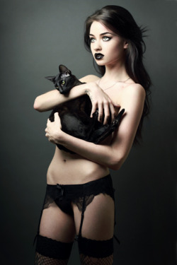 Felice Fawn