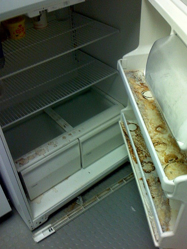 Ladies and gentlemen, behold this world-record-holding office fridge. Fungi had been growing in it for 8 years!
(by Kon & Cat)