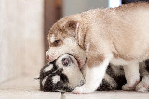 @AdorableBipolar ♥