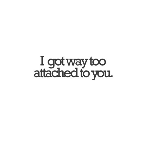 My Life At The Moment....