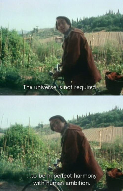 plantyr: ned-schnebly:  Carl Sagan   lil’