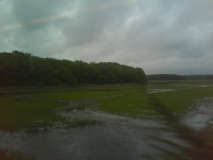 &ldquo;so you sailed away onto a gray sky morning, now I&rsquo;m here to