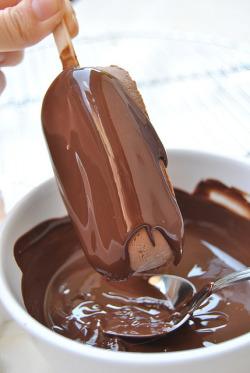 gastrogirl:  chocolate-dipped chocolate ice