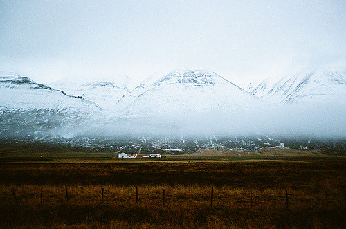 film-grain:  mývatn area (by 52fragments)