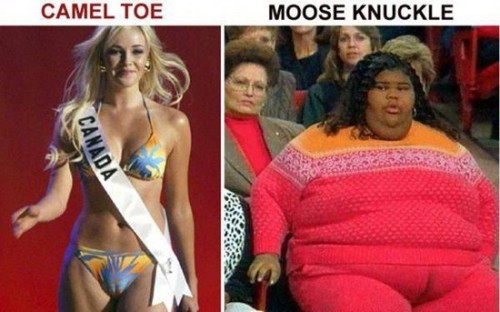 Damnlol….