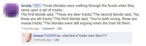  Obviously A Blonde 