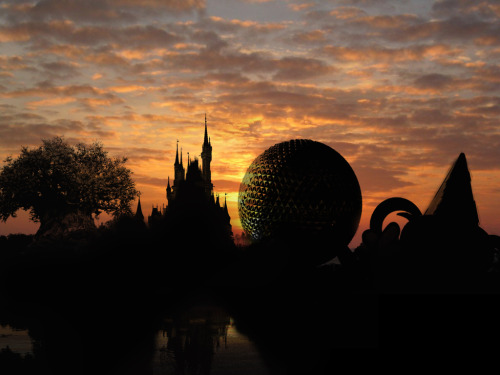 Porn alldisney: Walt Disney World - Icons in Silhouette photos