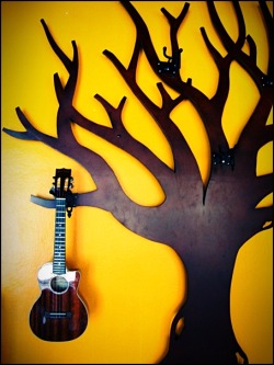 pattarain:  Guitar in a Ukulele shop at Bangsean. 
