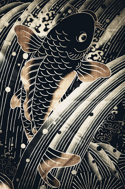 ogawasan:  Koi the Lover… on Flickr. 
